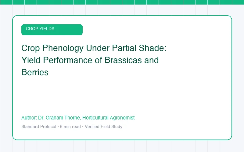 Crop Phenology Under Partial Shade: Yield Performance of Brassicas and Berries